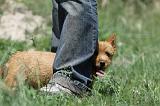 ADULTE ET CHIEN 110